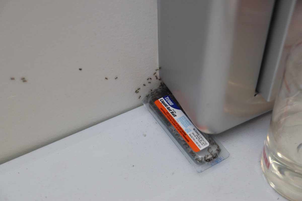 Across campus, staff and students have been dealing with ant infestations, broken air conditioning units and ceiling tile damage.