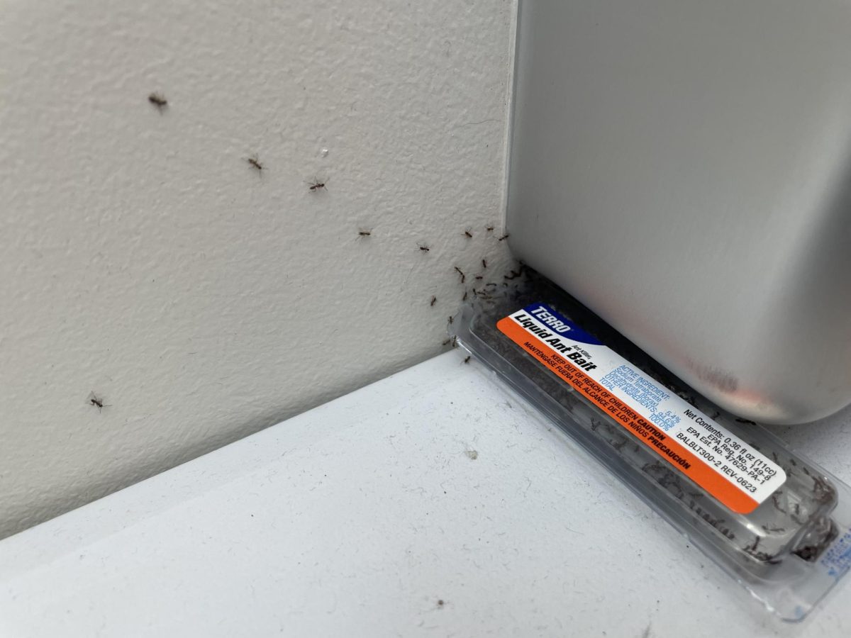 Students and staff are experiencing various issues in their classrooms. Since the start of the school year, they dealt with ant infestations, broken air conditioning units and ceiling tile damage. 