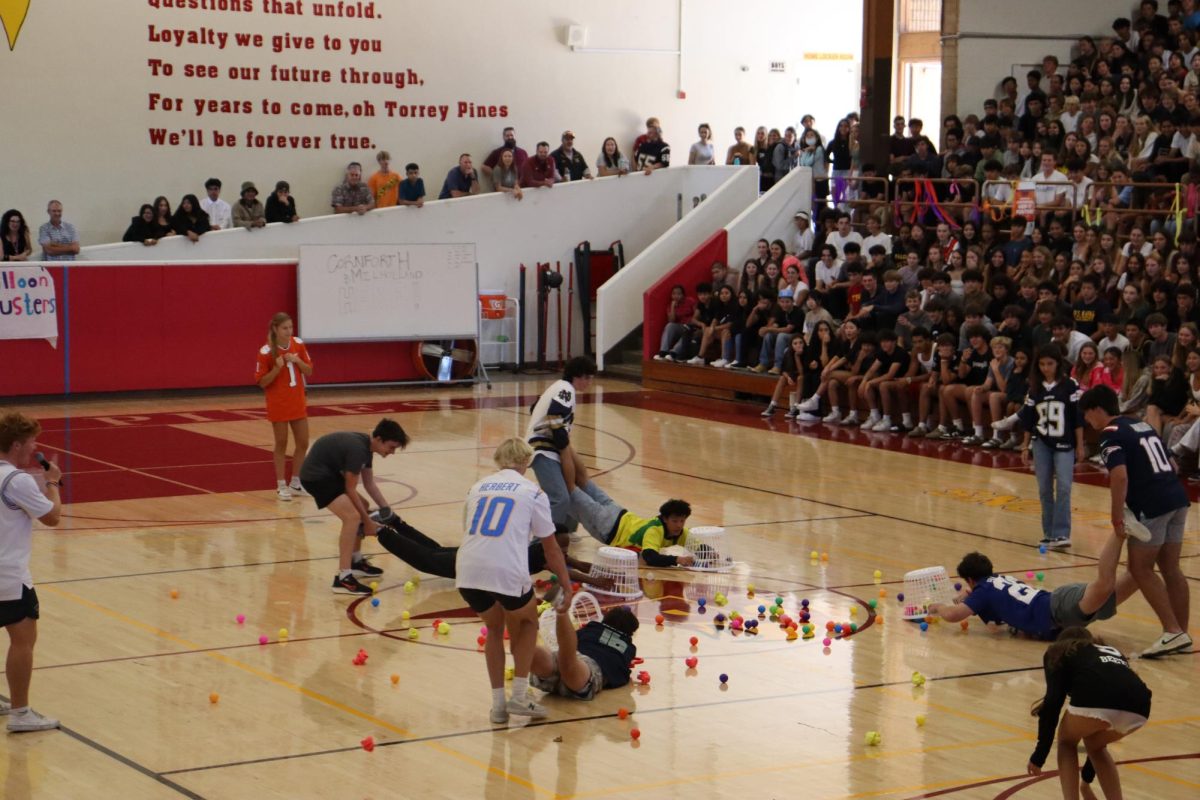 Eight students faced off in a competitive game of hungry hippos. 