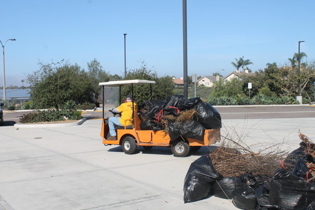 A truck carries away the garbage bags. The event produced numerous garbage bags, consisting of many trash and weeds.