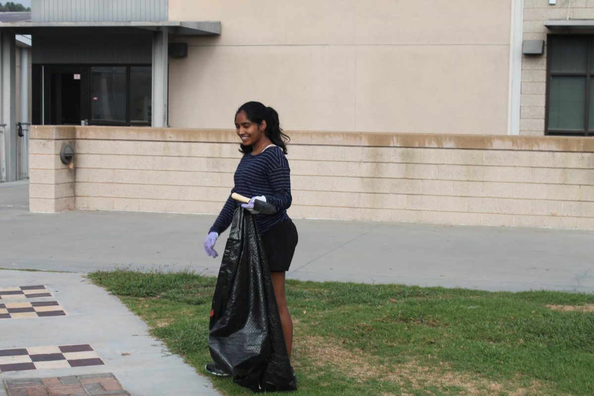 Celestine Chinnappan (11) collects trash in the west quad. Determined to help the school maintain a cleaner environment, volunteers worked hard. 