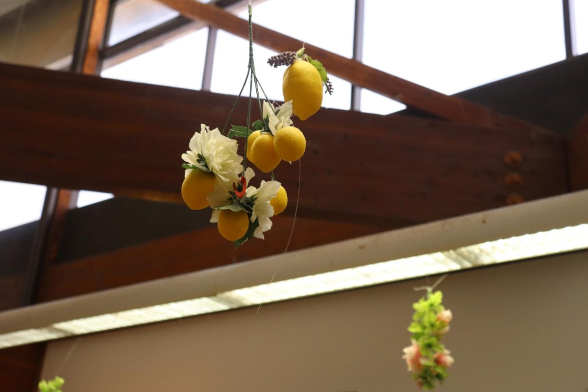 World History and AP Art History teacher Lisa Tellers hangs decorations from her ceiling. The lemons and flowers reminded her of her trip to a restaurant in Italy.