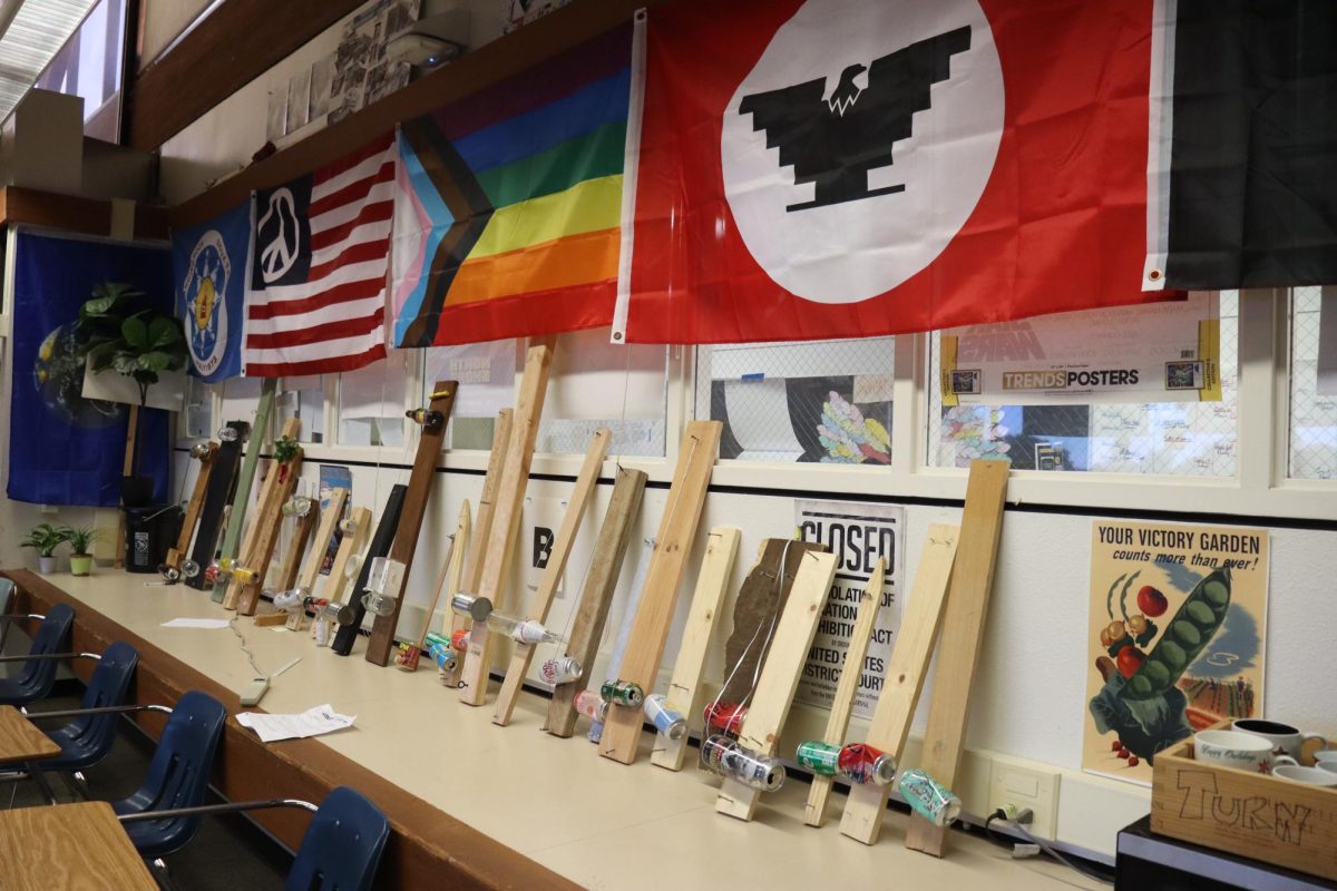 Various flags, including the United Farm Workers flag, the Progress Pride flag and the Standing Rock Sioux Tribe flag, hang in Austin Wade's classroom. He chose to do this so his room would be a living artifact. "Many the flags I have represent concepts and ideas that I teach in my US History and Rock ‘n’ Roll history classes."
