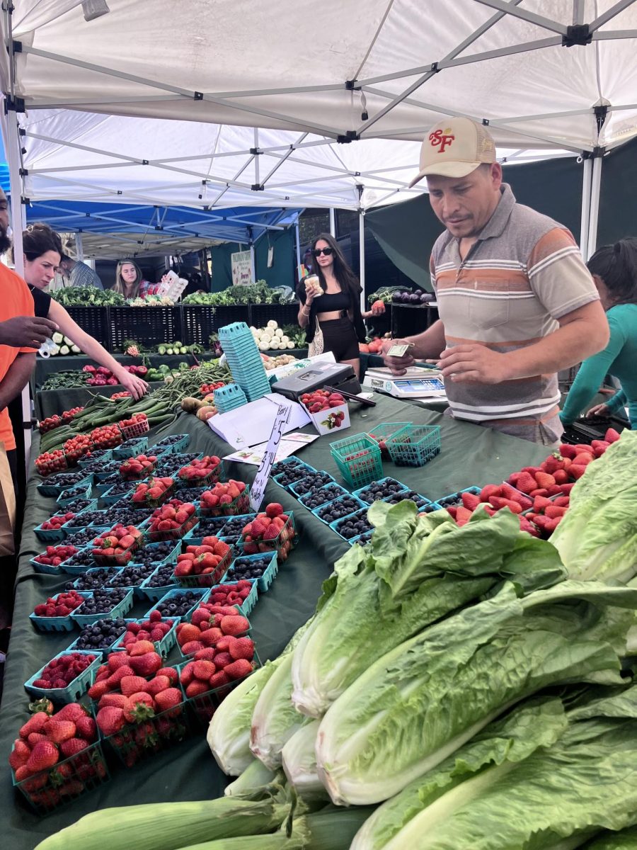 Vendors show off their fresh produce at the farmer's market. Along with fruits and vegetables, many also included flowers in their booths. 