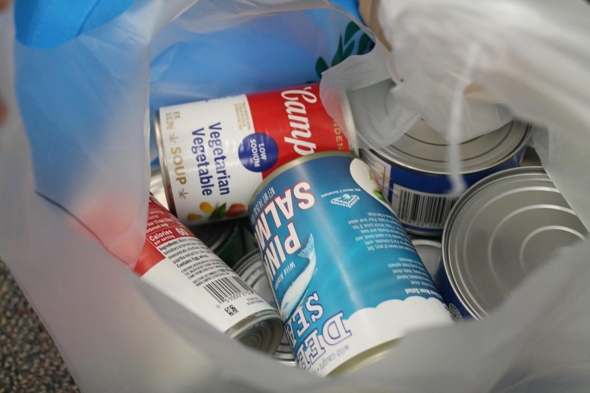 Food cans from students in Yanire Cercet-Martinez's fifth period class pile in a corner of the classroom. A total of 689 cans were collected schoolwide through the annual Canned Food Drive.