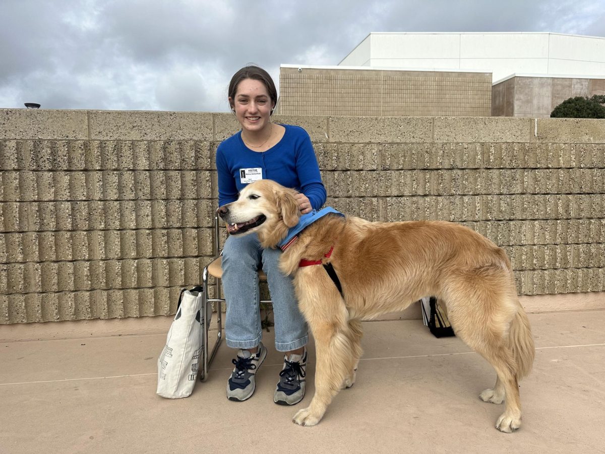 Therapy Dogs visit the school for students to interact with. Other activities throughout Stress Less Week included distributing stress toys and writing letters to Rady Children's Hospital.