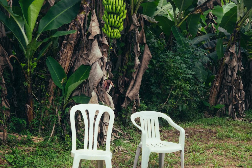 'Debí Tirar Más Fotos' combines Bad Bunnys Puerto Rican roots and desire to advocate for social and political justice.  'Debí Tirar Más Fotos' was released on Jan. 5. Photo courtesy of Rimas Entertainment.