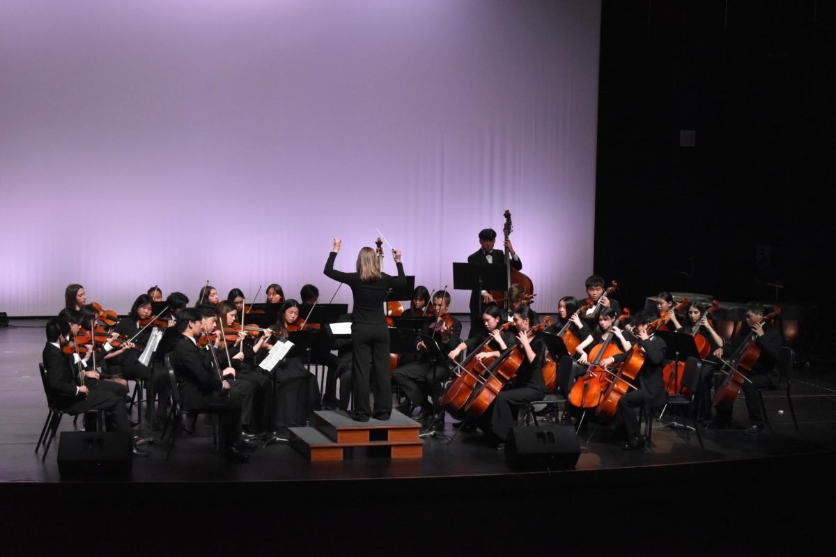 The string orchestra performs 'Of Glorious Plumage' by Richard Meyer and 'Luberon Dances' by Martin Ellerby during the Spring Concert. The concert took place on March 12 in the Performing Arts Center. Photo courtesy of TPHS Music Department.