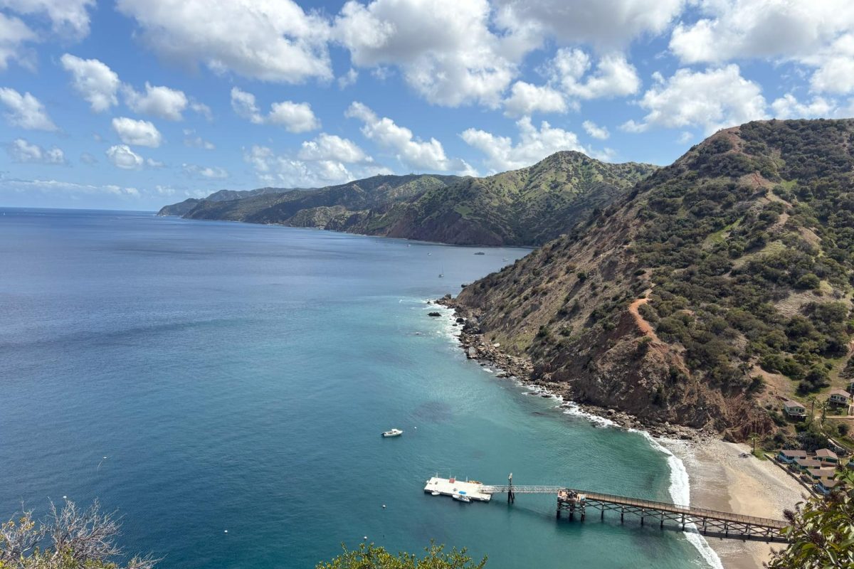 A view of Catalina Island shows the ocean and dock. Students visited the Catalina Island at the end of April. Photo courtesy of Chelsea Roffey.