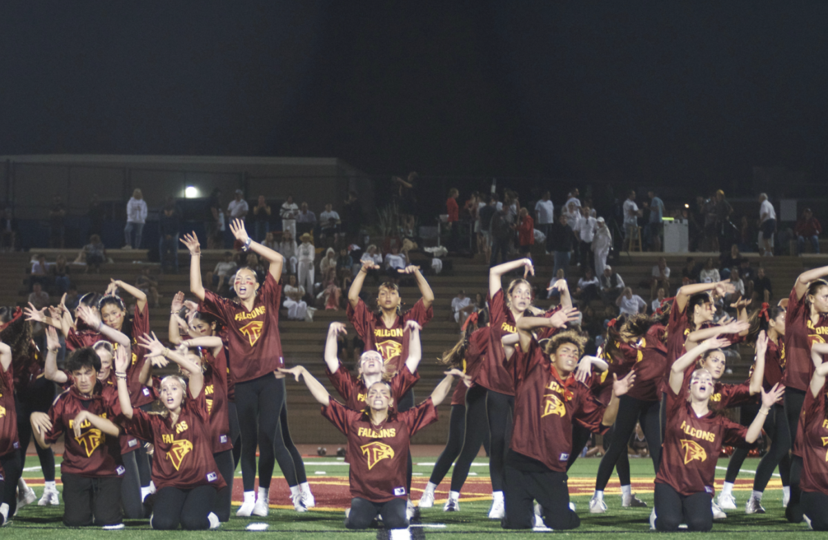 The school's dance team impresses the crowd every performance, so there was no shock as the crowd went wild. Proven in this captured moment by their facial expressions, neither passion or talent is lacking. Photo Courtesy of Taylor Faassen (12).
