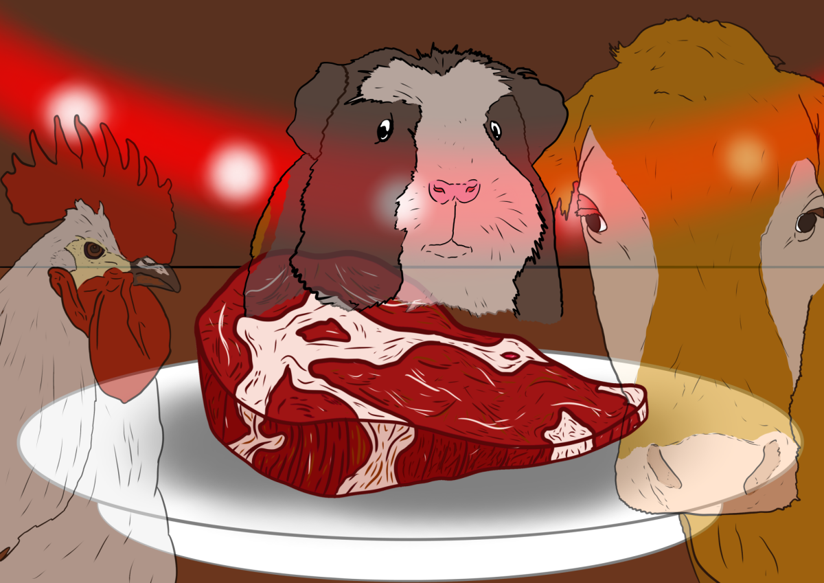 Different cultures worldwide have different standards for animal consumption. From insects to guinea pigs, parrots to fertilized duck fetuses, many Americans consider some of these cultures' unconventional foods to be strange.