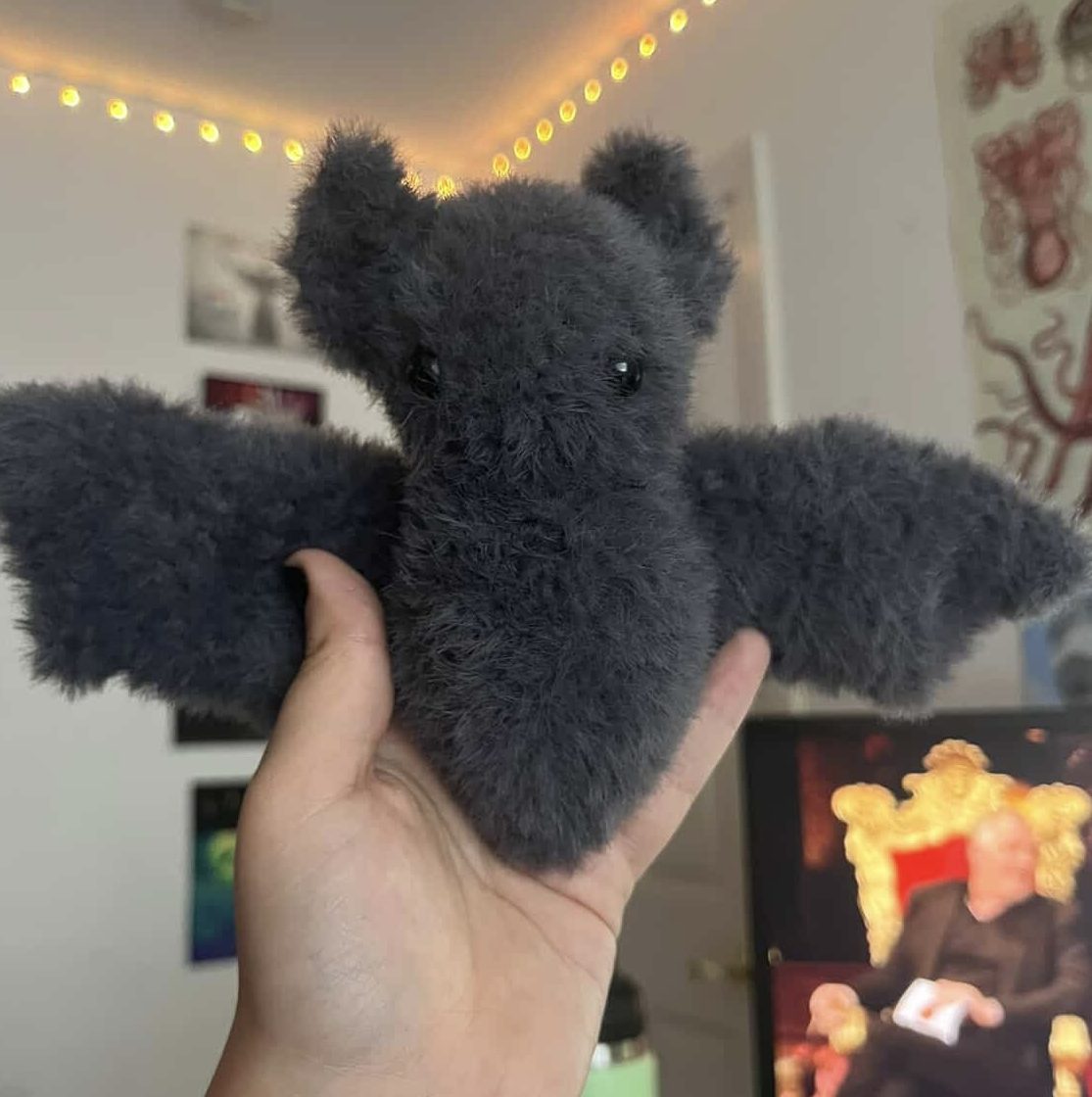 Hooked on craft: Students who crochet