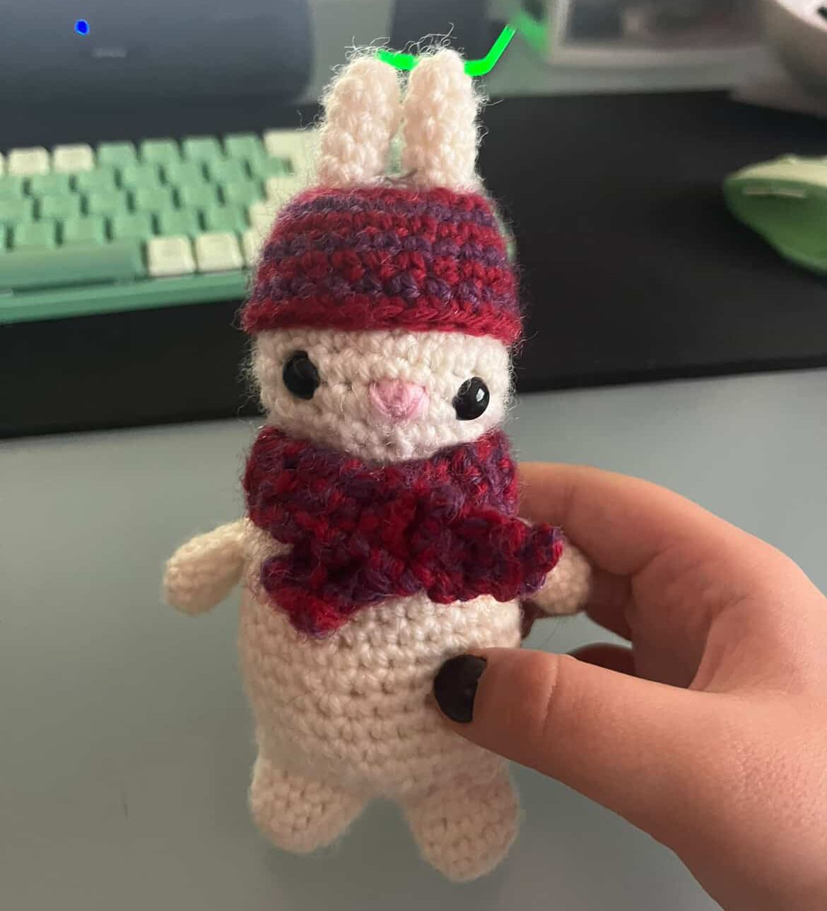 Hooked on craft: Students who crochet