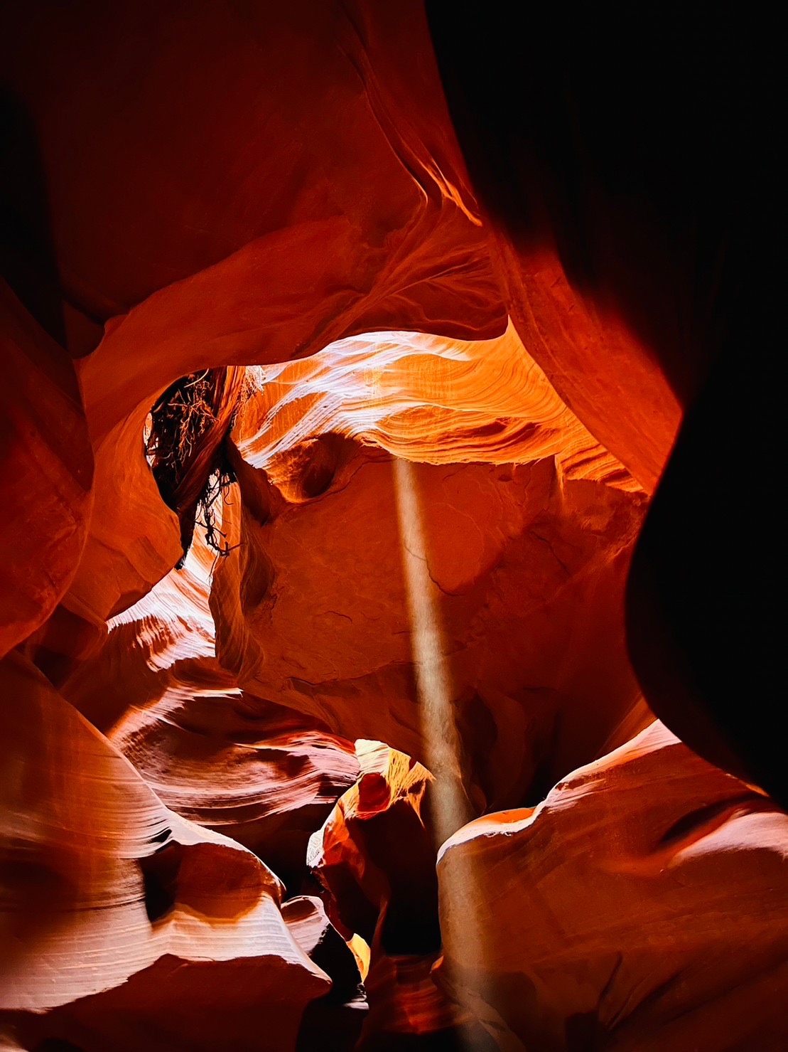 ‘Ordinary, beautiful things’: Student photographers