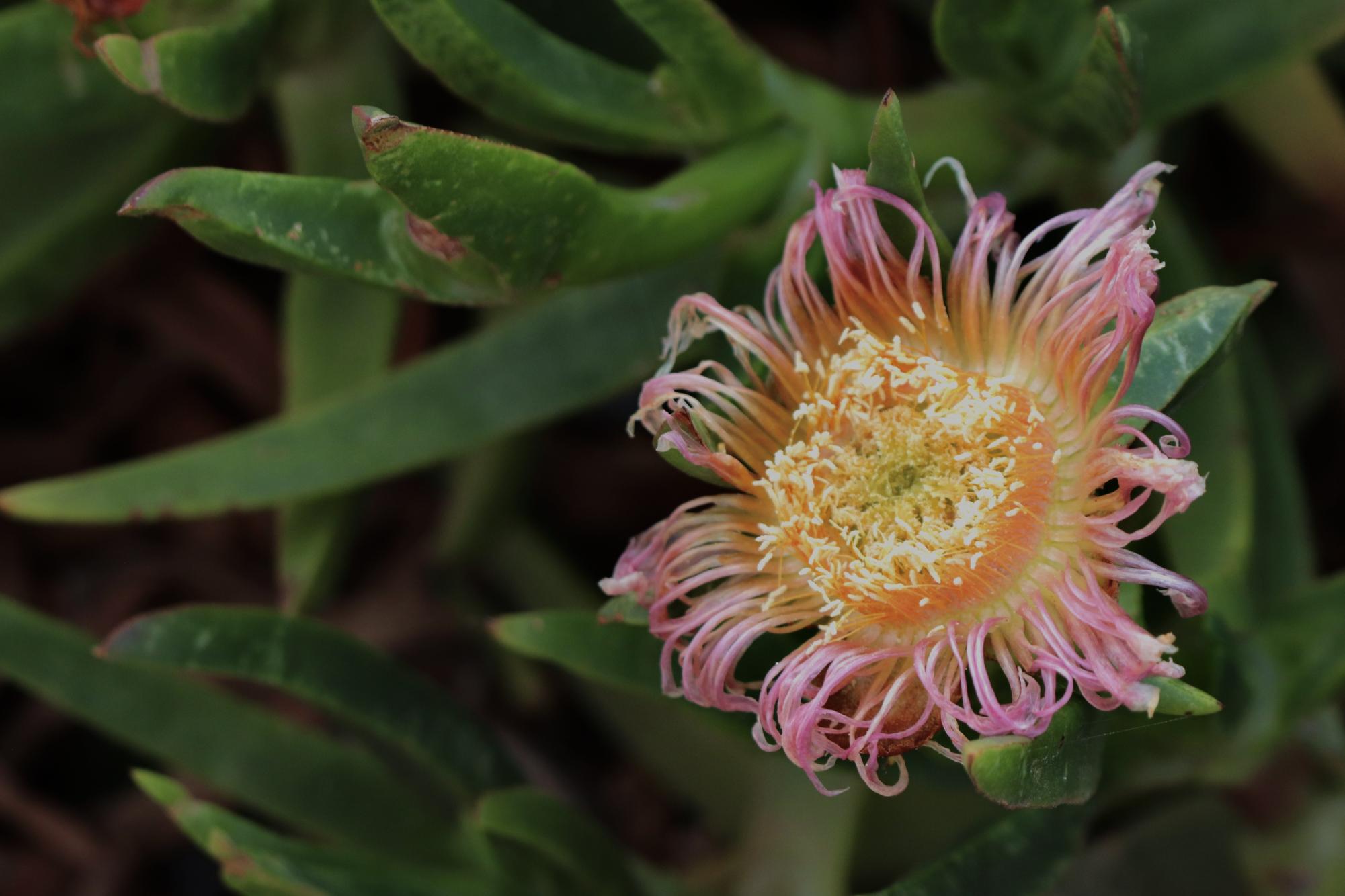 ‘Ordinary, beautiful things’: Student photographers