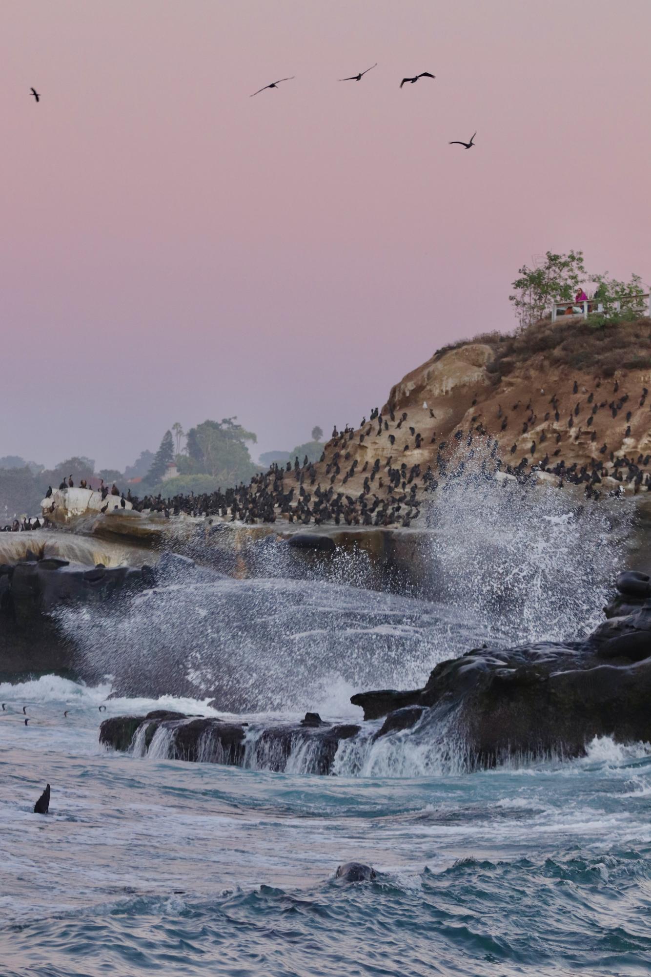 ‘Ordinary, beautiful things’: Student photographers