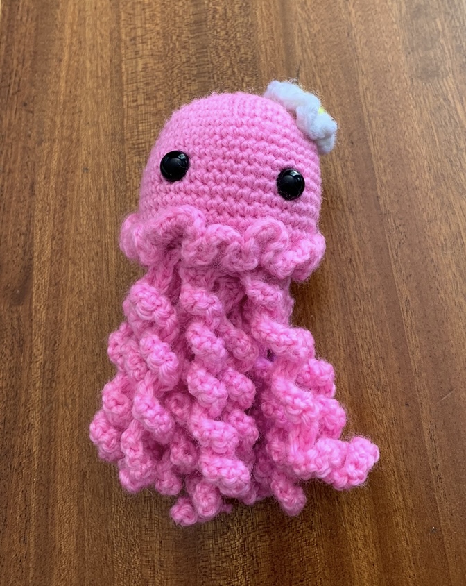 Hooked on craft: Students who crochet
