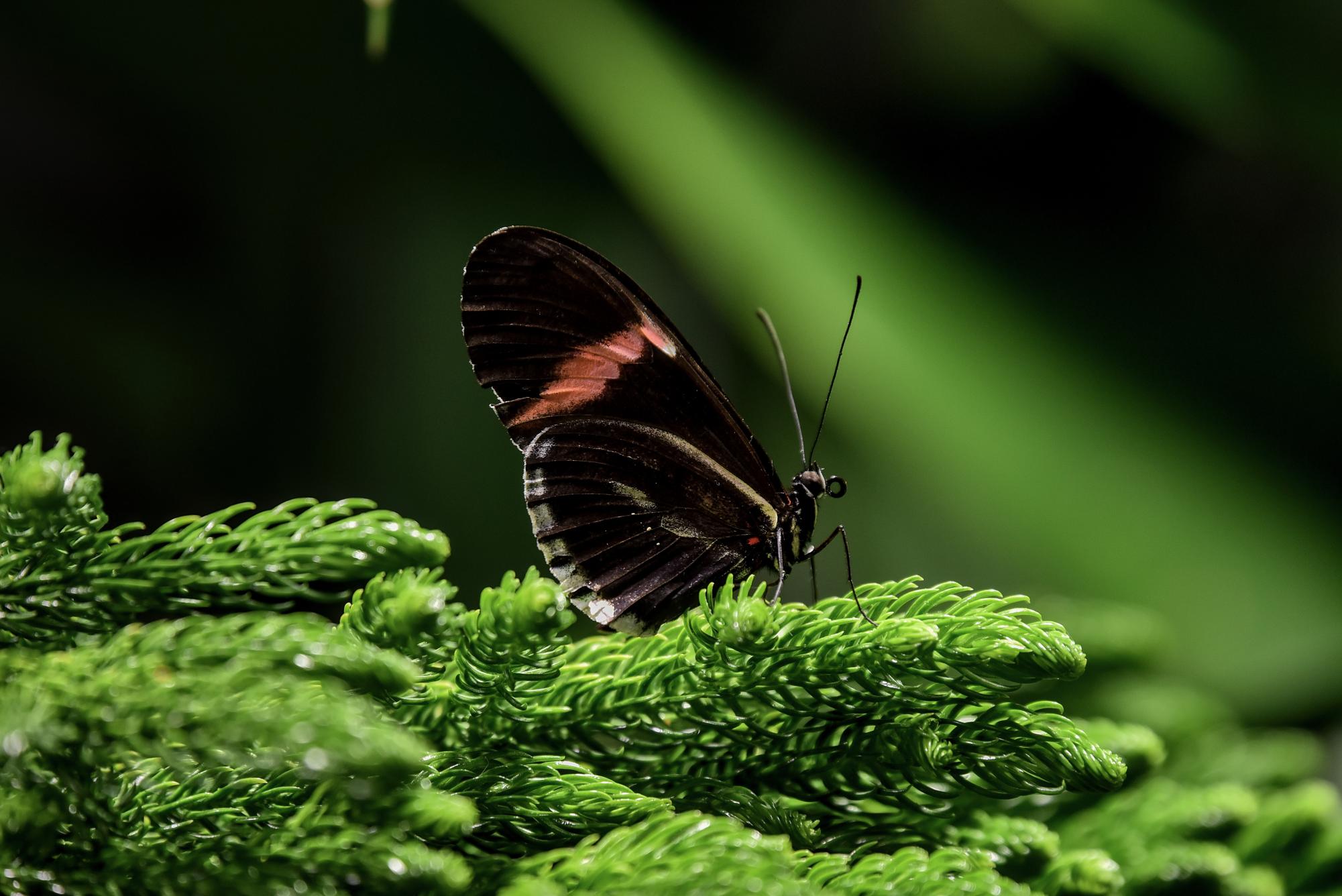 ‘Ordinary, beautiful things’: Student photographers