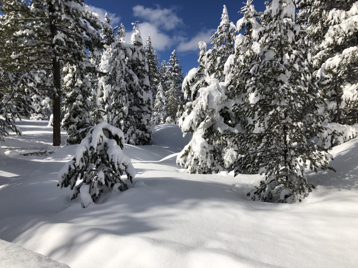 Snow falls in many places across the United States. As the season rolled around, students historically rushed to the slopes in search of fresh powder.