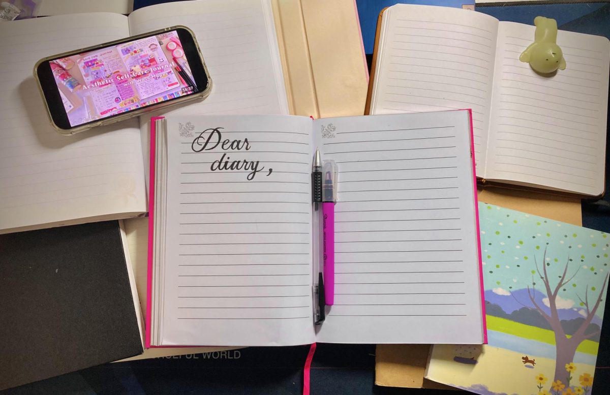 A pile of empty diaries is spread across a desk. This article explored how societal expectations changes the process of journaling.