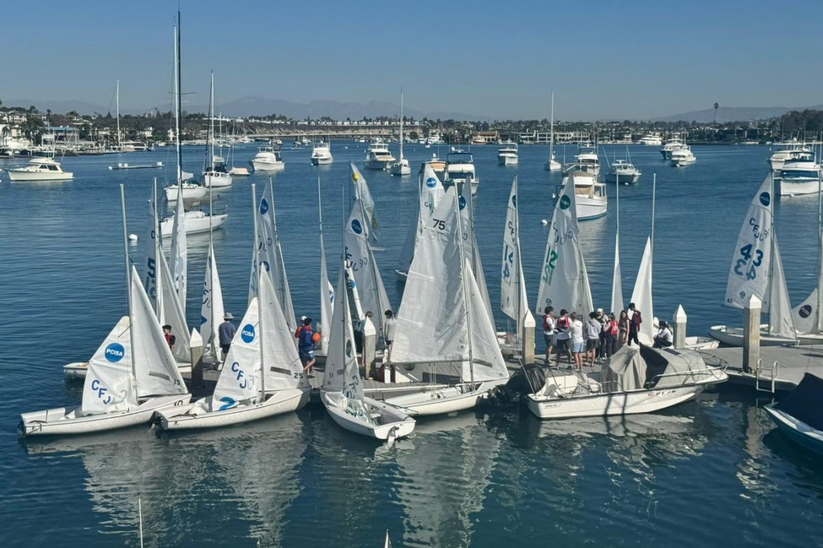 The sailing club's boats dock in San Diego Bay. Skills that students learned while sailing included geography and tying knots. Photo courtesy of TPHS Sailing Club. 