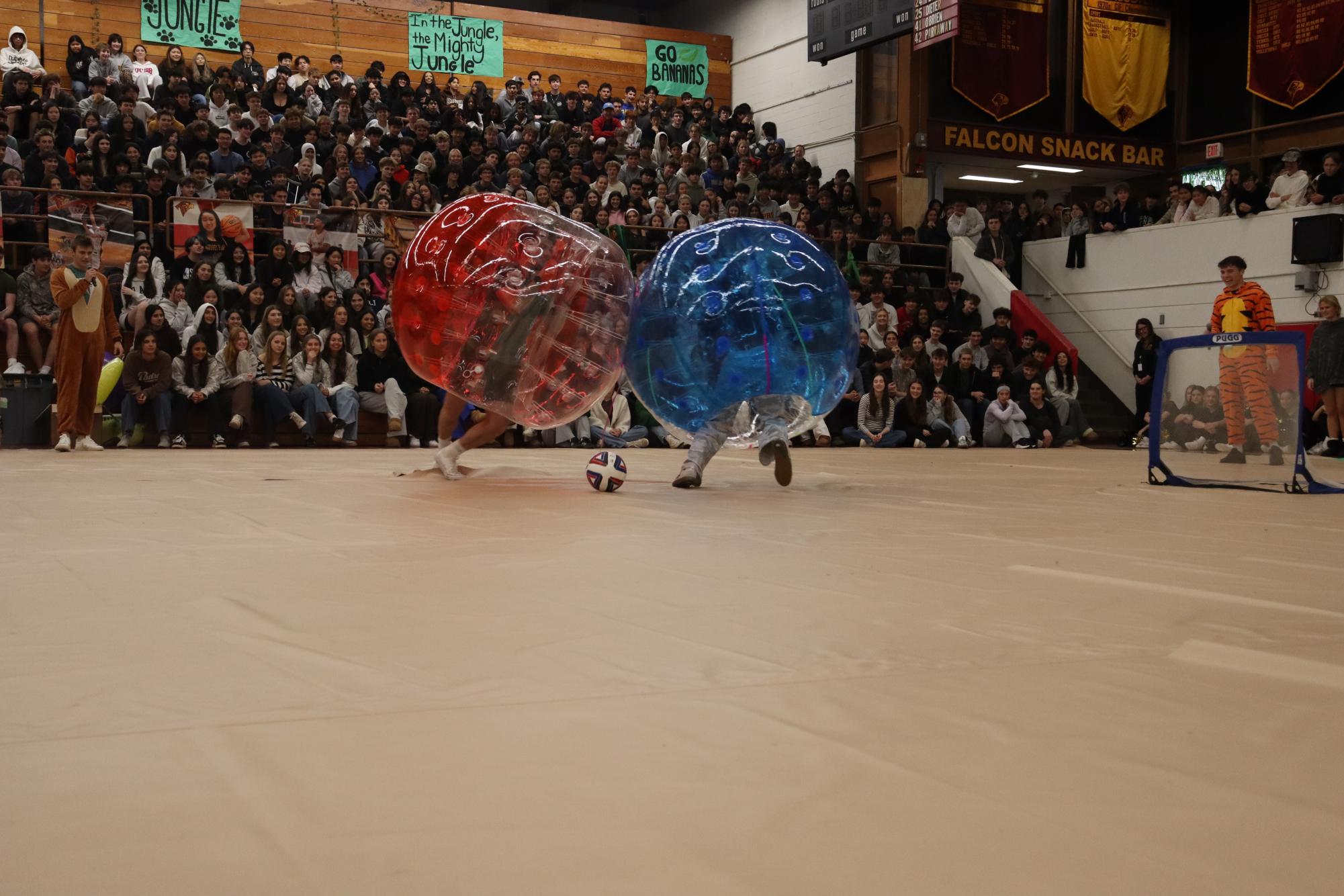 Photo Gallery: Winter sports pep rally