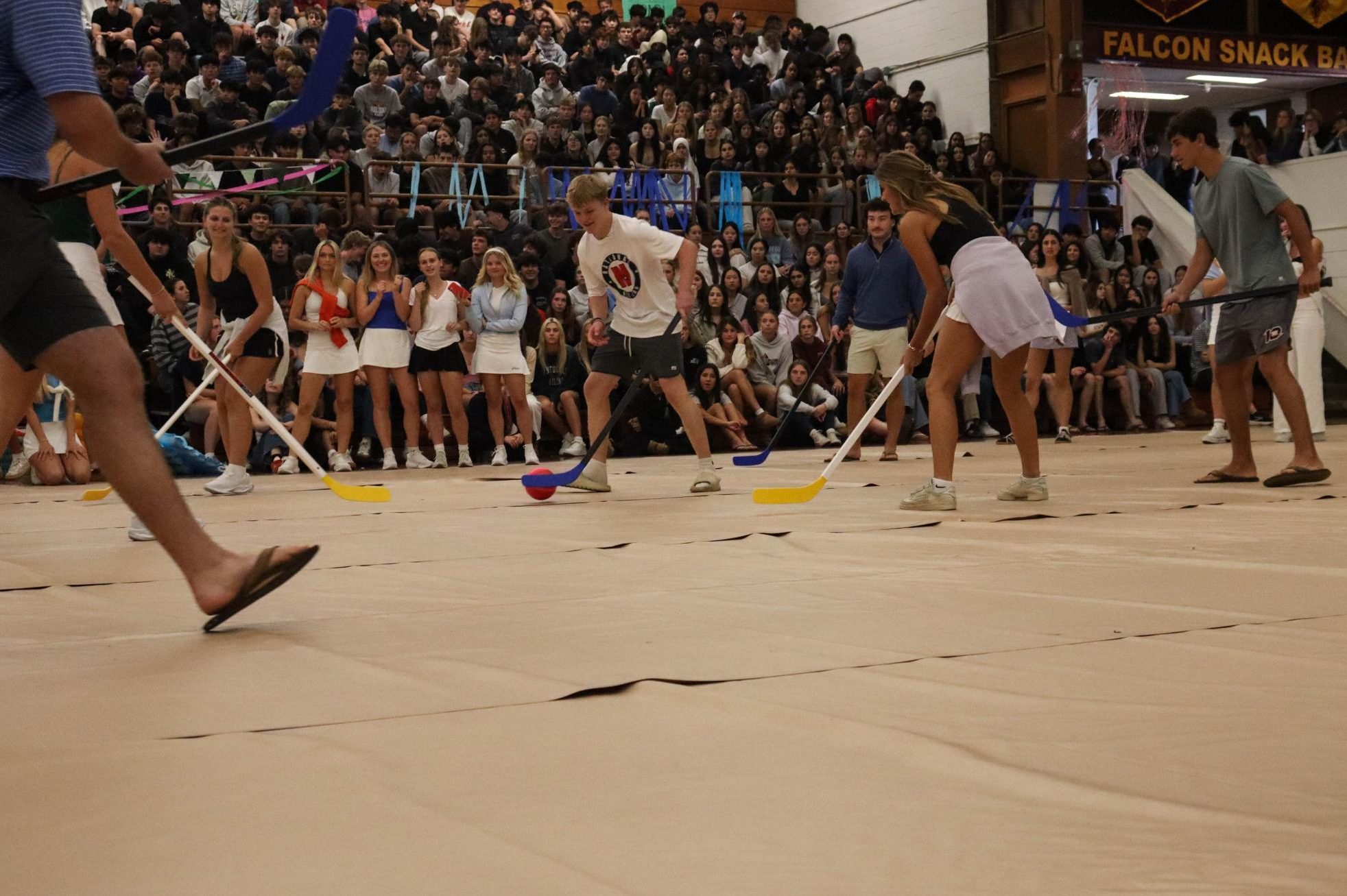 Photo Gallery: Spring Sports Pep Rally