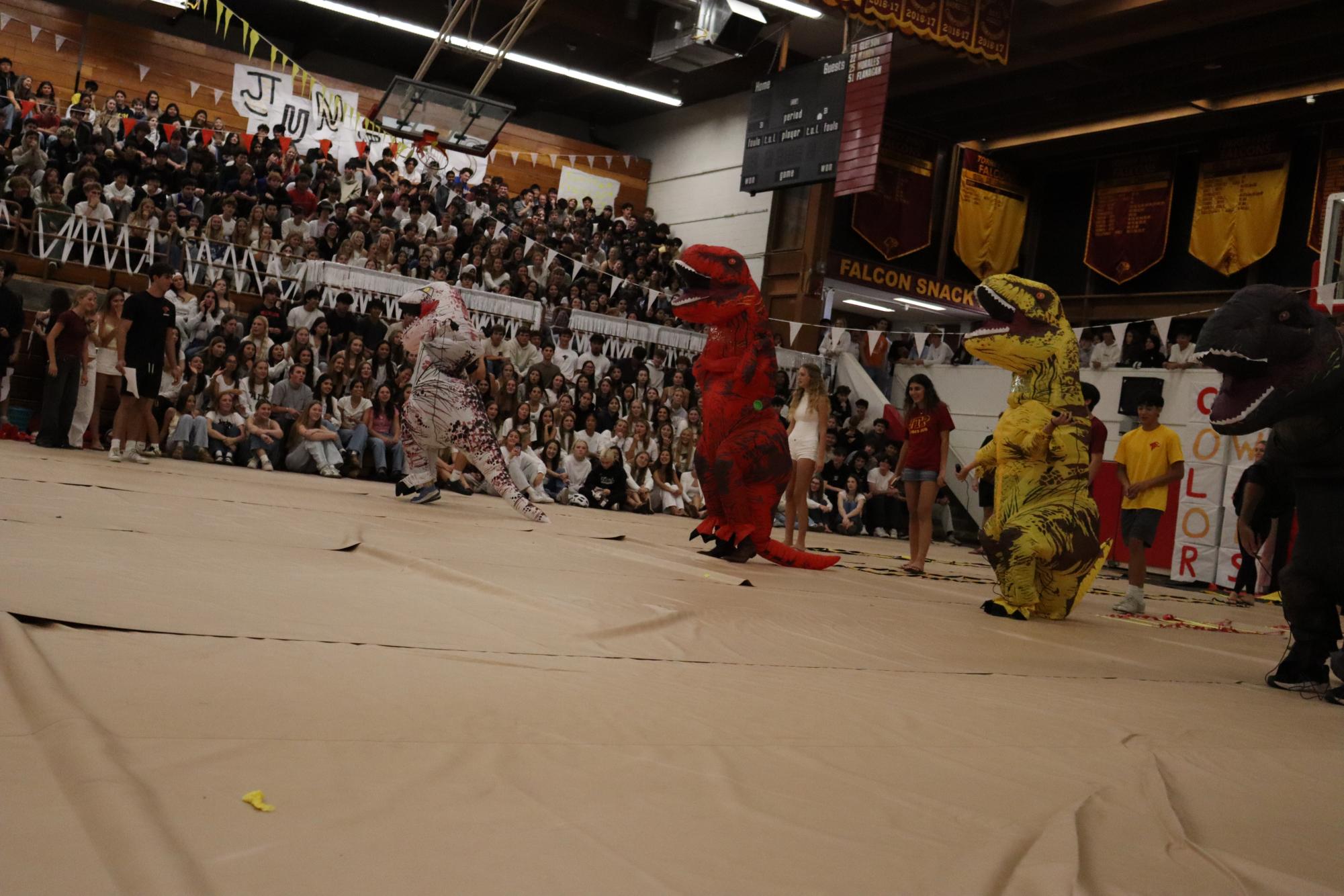 Photo Gallery: Color wars pep rally