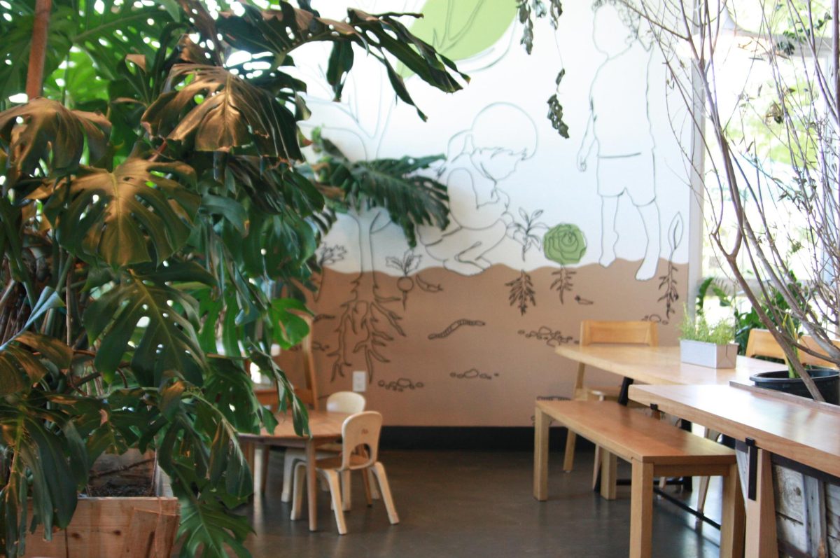 Dot Cafe offers seating for children, or smaller tables, besides regular ones. The indoor plants — leafless branches and open-palmed, Ficus elastica — were decorated throughout the cafe in partnership with Terra Bella Nursery.