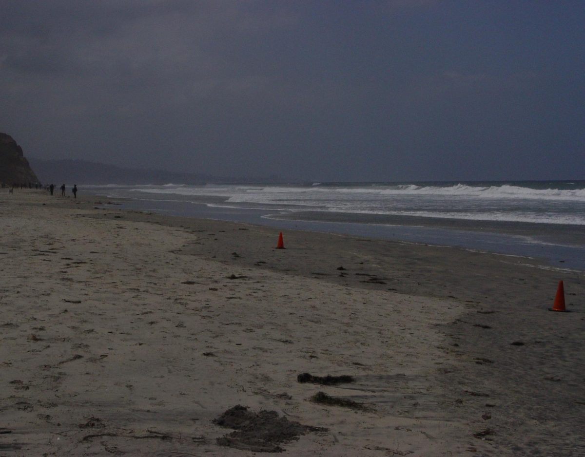 Torrey Pines State Beach is bordered by bluffs and connects to the Torrey Pines State Natural Reserve by trail. Feng often walked the area with friends and family.