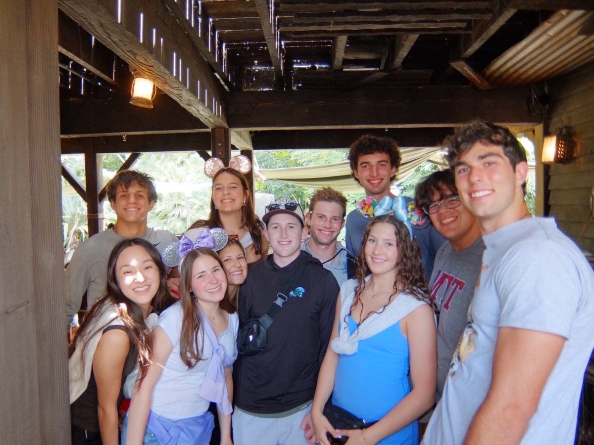 (Left to right) Zachary Bulich (12), Emi Kiyota (12), Shea Faassen (12), Taylor Faassen (12), Caitlyn Van Hoose (12), Max Brown (12), Thomas Goelitz (12), Henri Tanghe (12), Madison Hall (12), Ansu Perez (12) and Tyler Suhar (12) take a picture while waiting for a ride. The seniors went to Disneyland either by bus or drove themselves. Photo courtesy of Ansu Perez. 